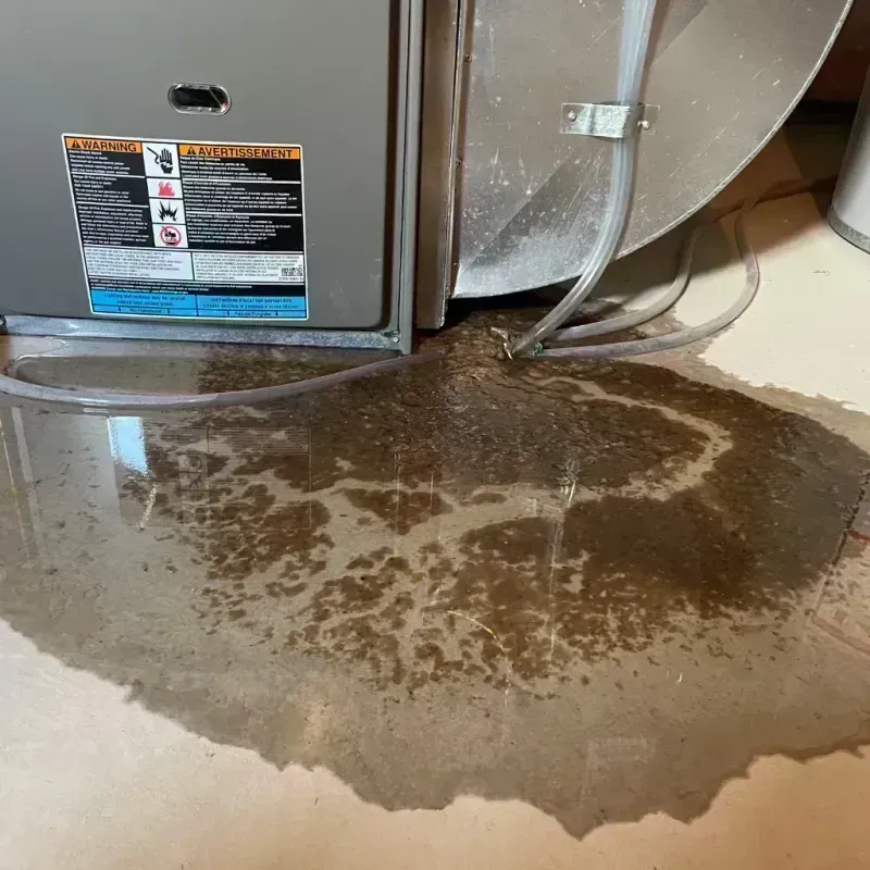 Appliance Leak Cleanup in Holmes Beach, FL